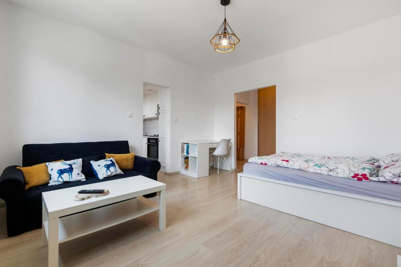 Apartment 20 Minutes From City Center W Netflix, Coffee Or Tea & Parking براتسيلافا المظهر الخارجي الصورة